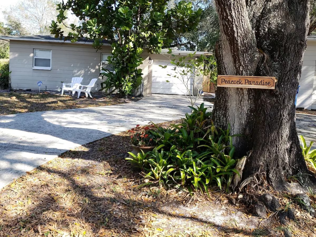 St. Peterburg, FL - Saint Peterburg FL Vacation Rental, Vacation Rentals Saint Peterburg, FL Saint Peterburg Fl Vacation Rentals Saint Peterburg FL Vacation Home Rental